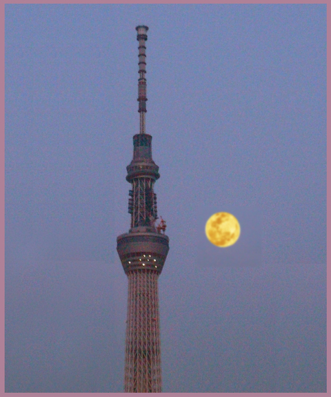 浅草、やっぱり”立ち食い寿司”デショ！_e0236072_22333179.jpg