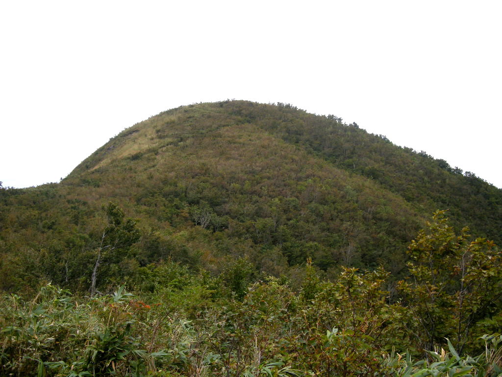 b0185573_9287.jpg