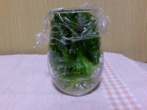 「トマトと大葉の夏サラダ」_a0214374_15153260.jpg