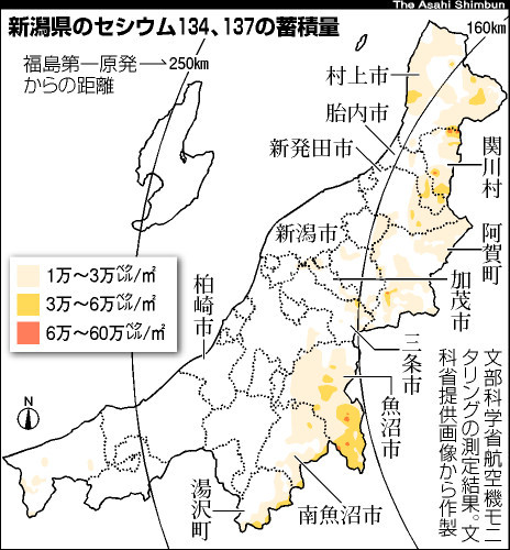 「福島の玄米の汚染度は健康被害報告のなかった過去の体験領域」　嘘が生み出すリスク　農業情報研究所_c0139575_342030.jpg