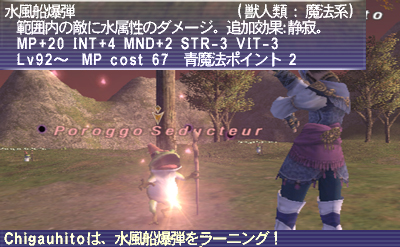 FFXI　新説・ラーニングの旅_a0025776_1584347.jpg