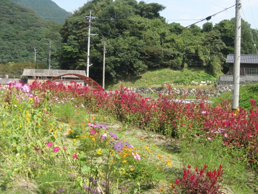 里山へおいでよ! ~リス君の忘れ物~_a0213879_16332149.jpg