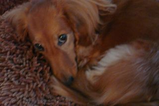 2011年10月13日 熱ふつふつ。。。_b0098584_20183329.jpg