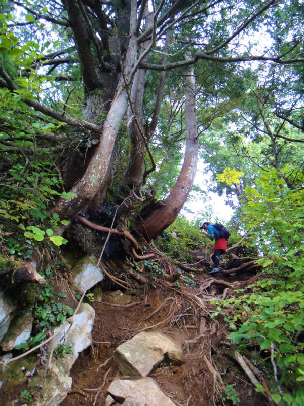 2011/10/04-05 仙人温泉-下ノ廊下 Day.2_b0220886_058043.jpg