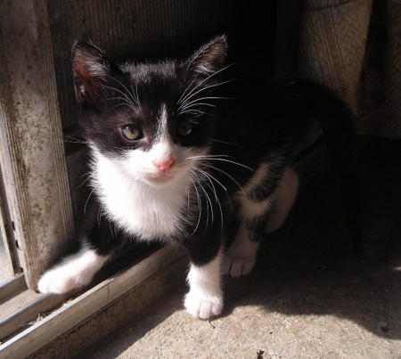 d0000995_03022.jpg