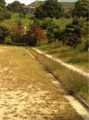 小さな一歩から_a0233896_1573075.jpg