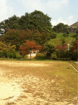 小さな一歩から_a0233896_1573296.jpg