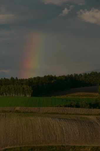 b0105897_2092325.jpg