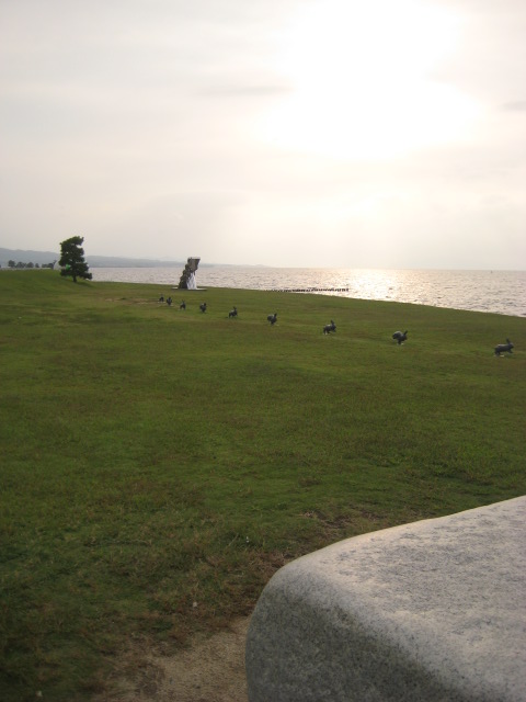 a0193698_21491941.jpg