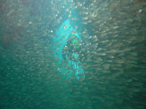 e0115199_22142380.jpg