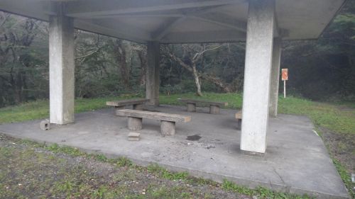 f0036700_1472278.jpg