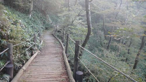 f0036700_1475790.jpg