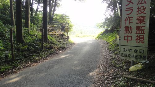 f0036700_1484192.jpg