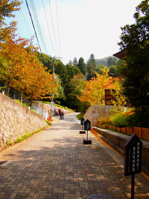 c0187503_22595470.jpg