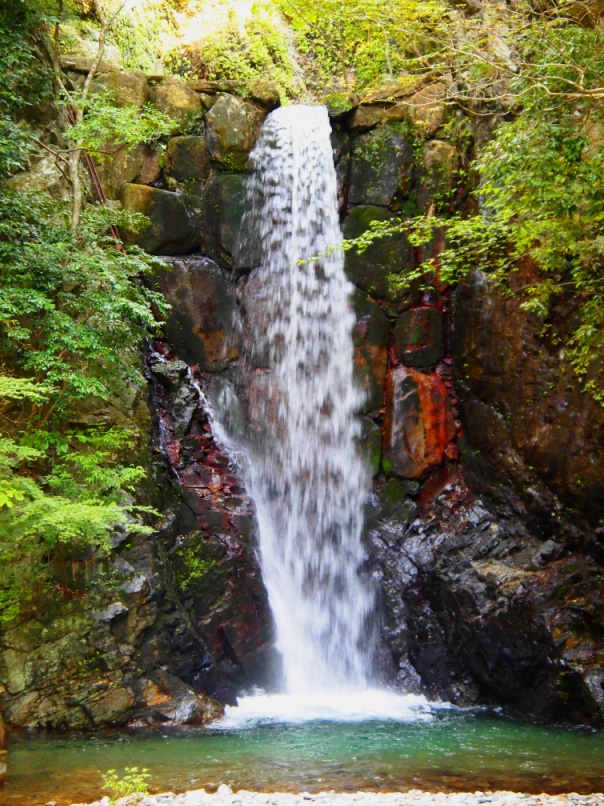 c0187503_234995.jpg