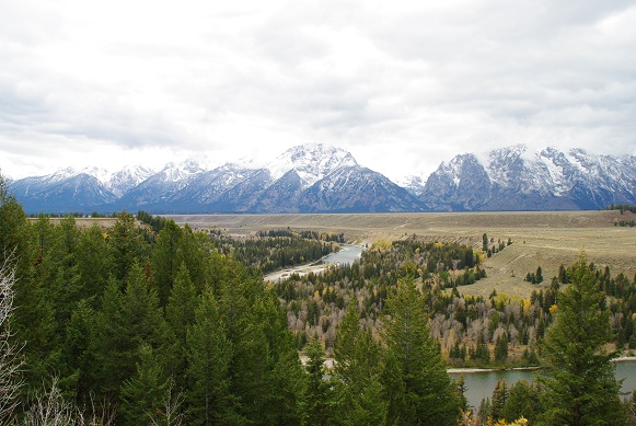 10/9 Yellowstone & Grand Teton 4日目－②_f0038904_1162077.jpg