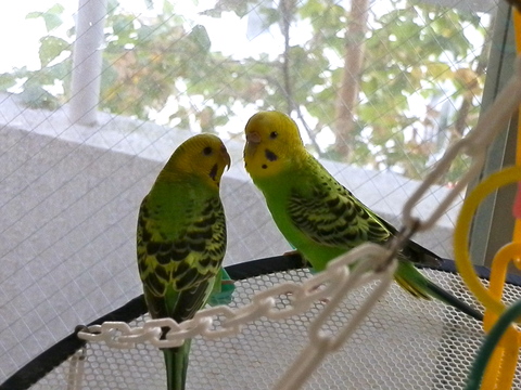 a0111506_2042146.jpg