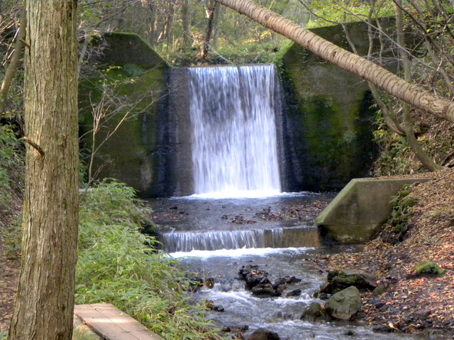 f0224506_1330740.jpg