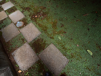 c0156908_811466.jpg
