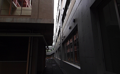 c0156908_819292.jpg
