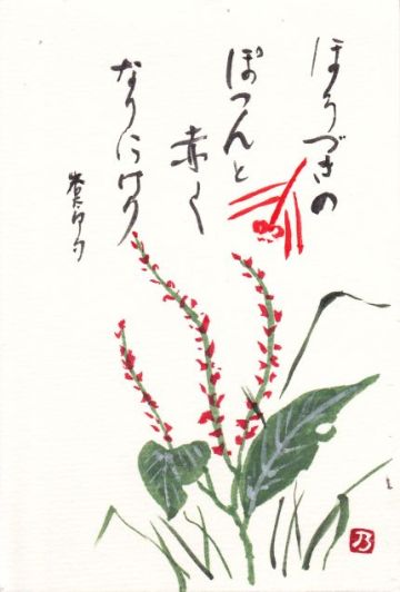 母の絵手紙_a0157409_1594199.jpg