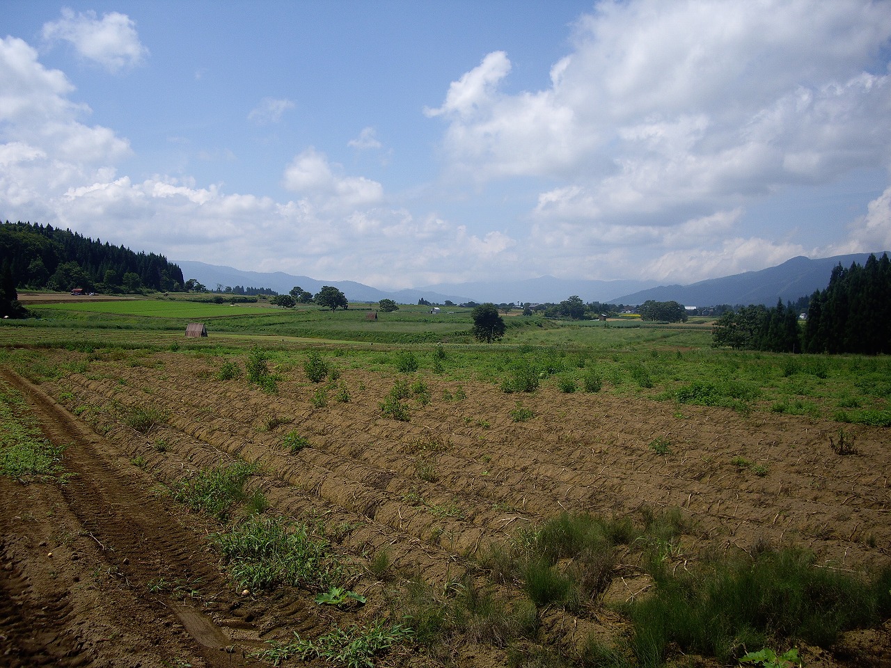 f0121909_753527.jpg