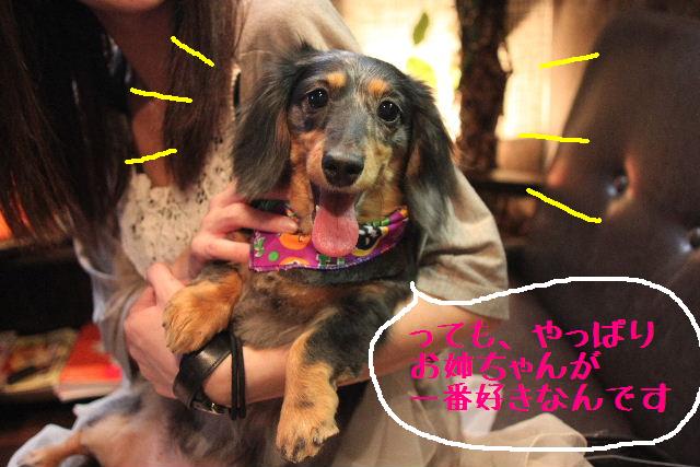 犬濯屋のアイドル。。。_b0130018_155647100.jpg