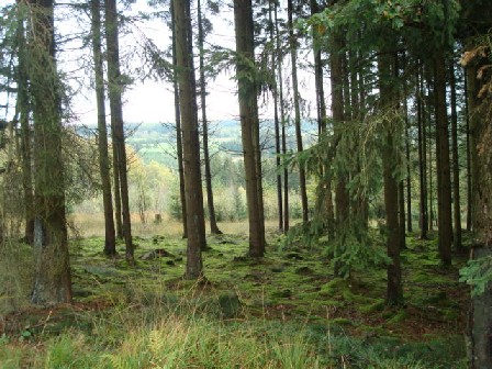 c0188818_17562589.jpg