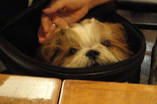 c0028424_21113055.jpg
