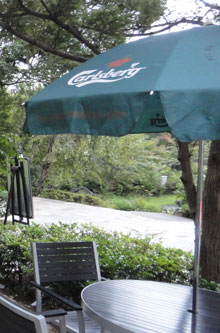 c0028424_21141886.jpg