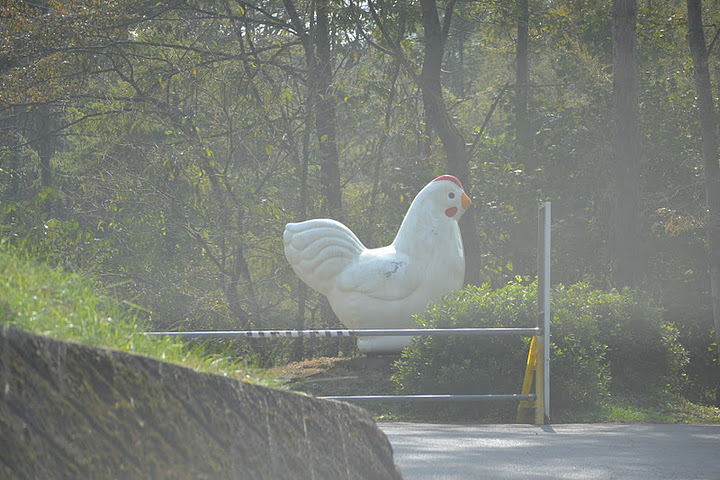 下見にいってきました。_d0100125_13104113.jpg