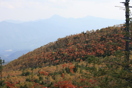 a0057828_23135846.jpg