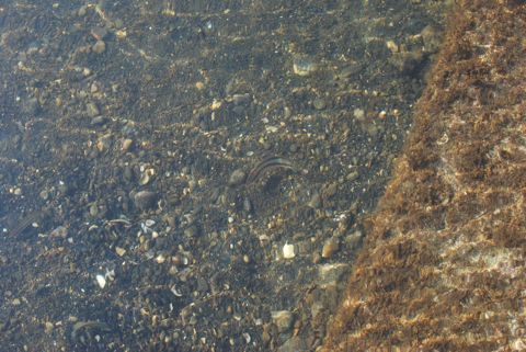 e0206433_2127567.jpg