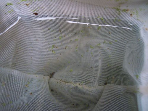 e0097534_15215163.jpg