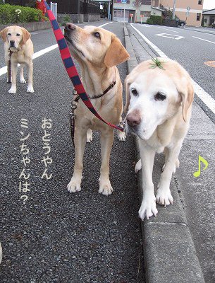 15歳エスの4コマ劇場＆今日の富士山_a0167836_11504968.jpg