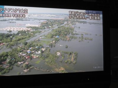 f0148649_23134633.jpg
