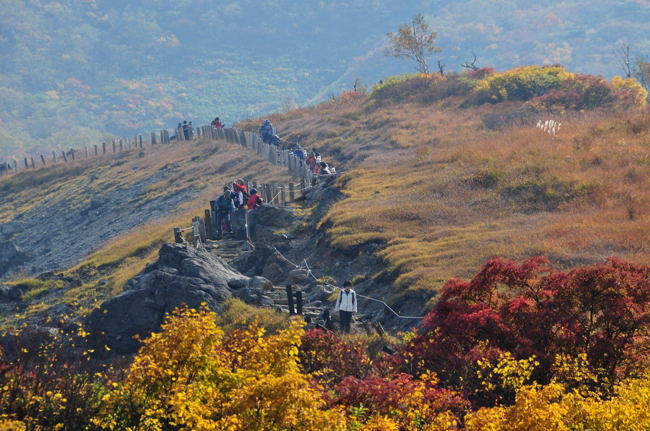 名残ケ原分岐～自然観察路分岐_d0094150_19435034.jpg