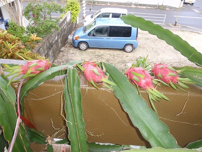 c0180460_5264079.jpg