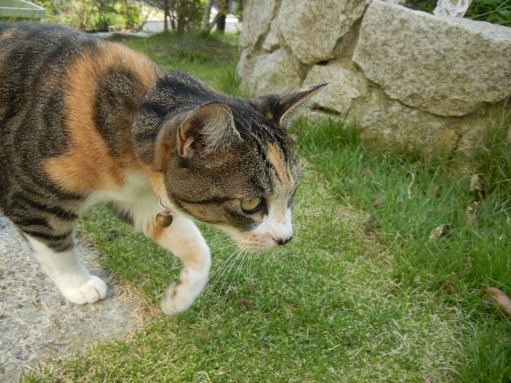 f0060461_1151694.jpg