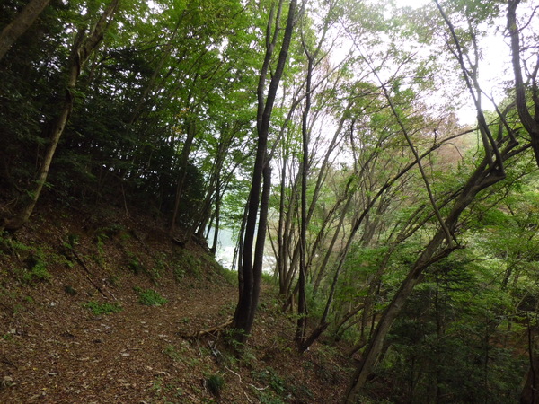 d0233866_13561441.jpg