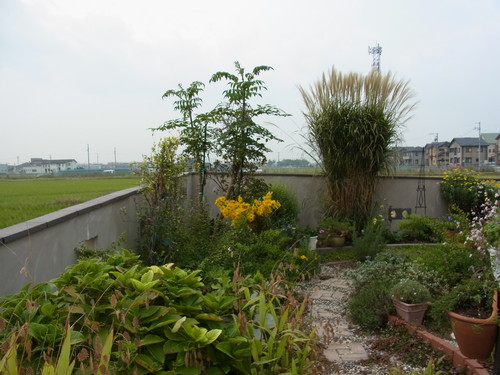 b0194267_16365537.jpg