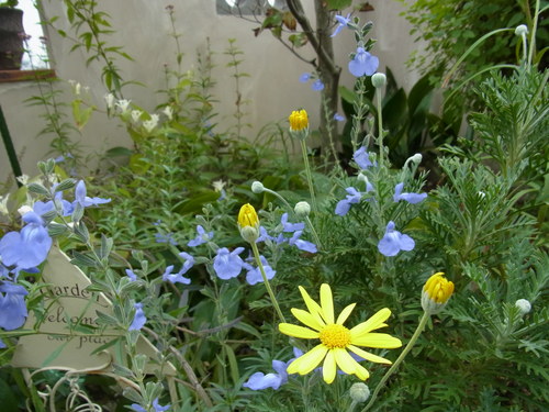 b0194267_16525649.jpg