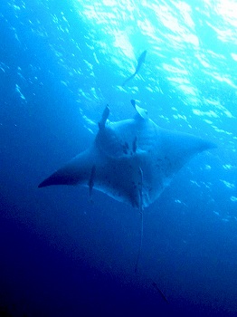 e0096370_19362140.jpg
