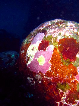 e0096370_19391488.jpg