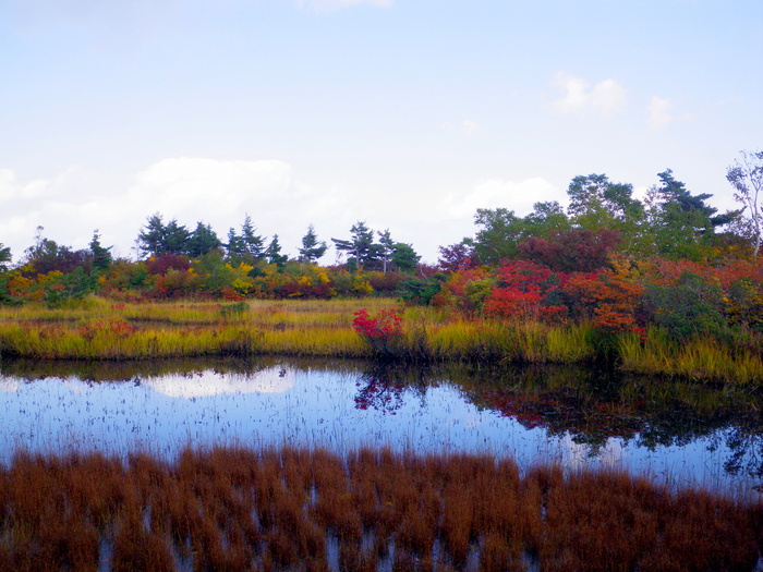 朝日連峰 大朝日岳 ～ ２０１１年１０月８日・９日_f0170180_2384456.jpg