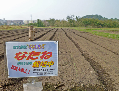 c0145581_1444945.jpg