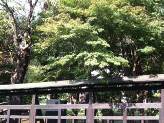 今日はうれしいことたくさん!_a0191183_2140288.jpg