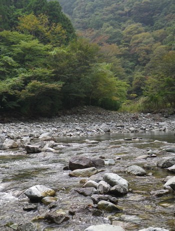b0068687_38548.jpg