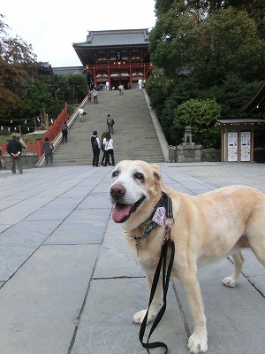 神社にイキマシタ_e0222588_17131389.jpg