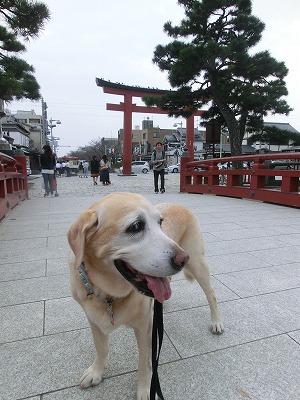 神社にイキマシタ_e0222588_17133091.jpg